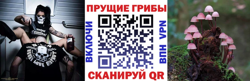 Купить закладки Канаш Галлюциногенные грибы мухоморы